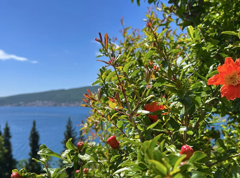 Apartamento 3 habitaciones 69 m² Herceg Novi, Montenegro