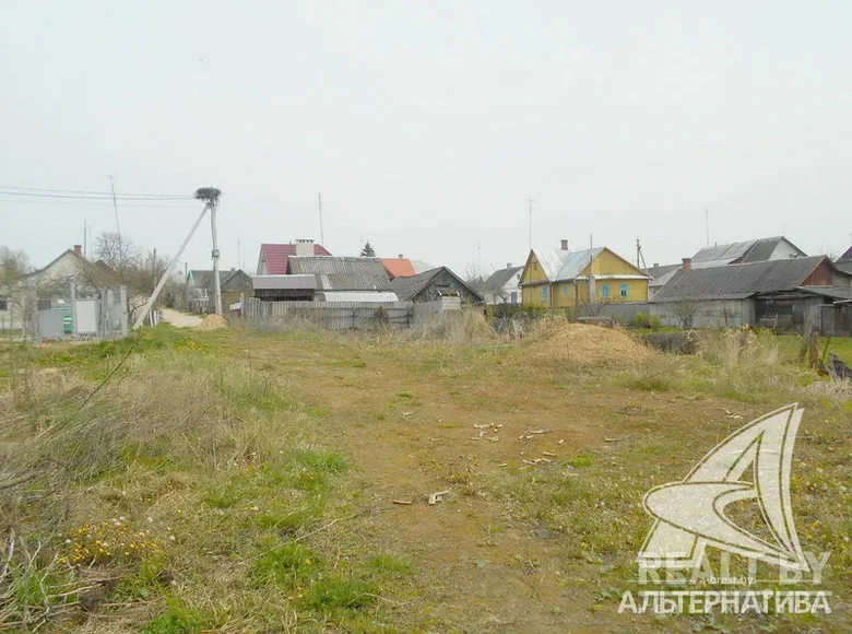 Land  Kamenets District, Belarus