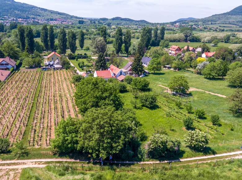 Land 1 557 m² Badacsonytomaj, Hungary