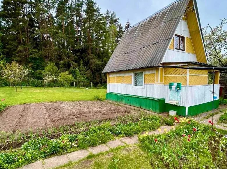 Maison 38 m² Zodzinski sielski Saviet, Bélarus