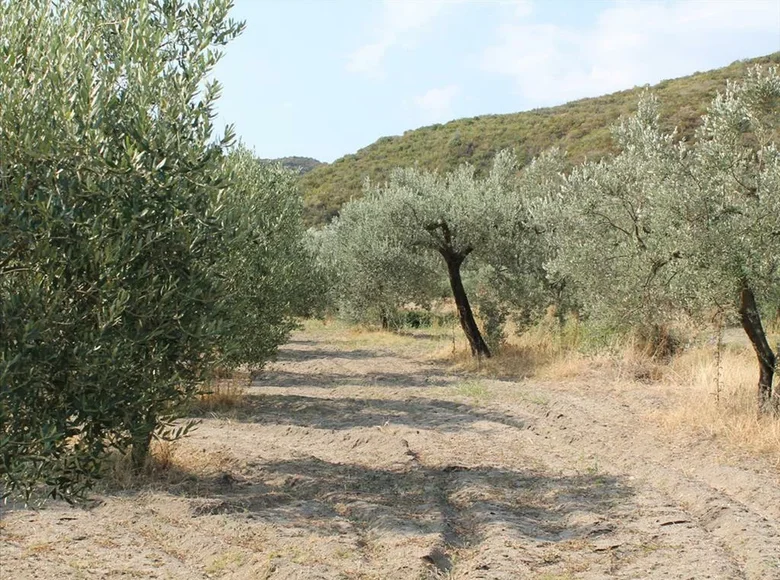 Land 1 room  Pefkochori, Greece