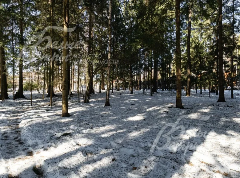 Atterrir  poselenie Pervomayskoe, Fédération de Russie