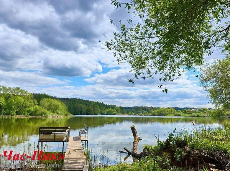 Działki  Ozyaritska Slabadski rural council, Białoruś