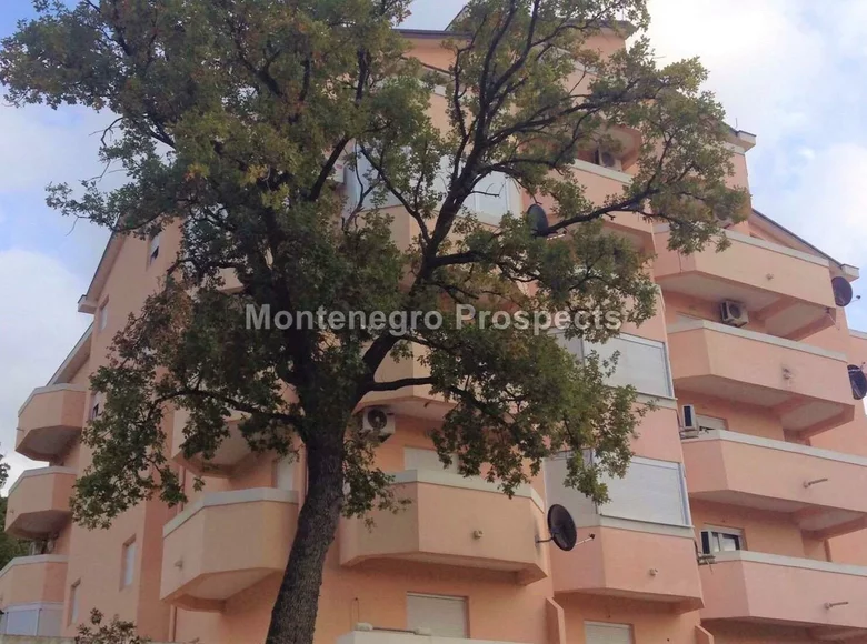 Wohnung 54 m² Montenegro, Montenegro