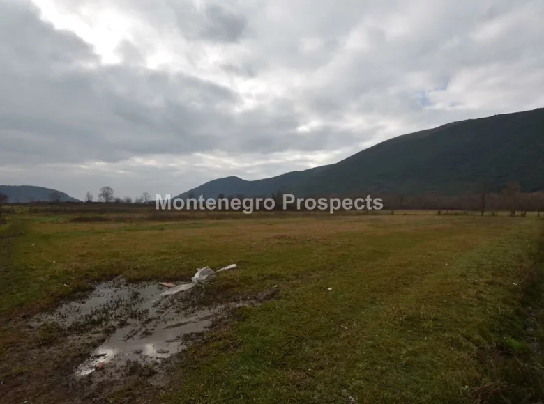 Land 7 658 m² Montenegro, Montenegro