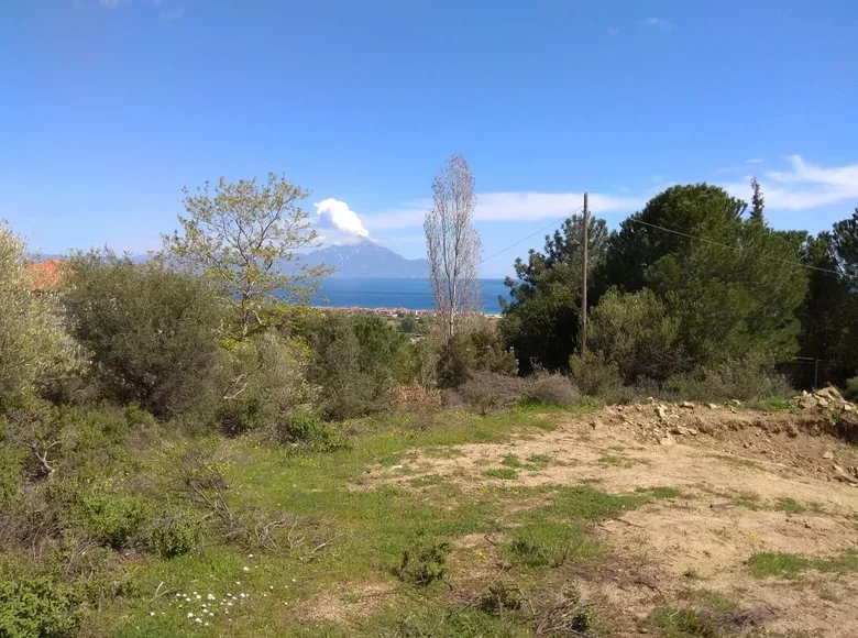 Atterrir 1 chambre  Sarti, Grèce