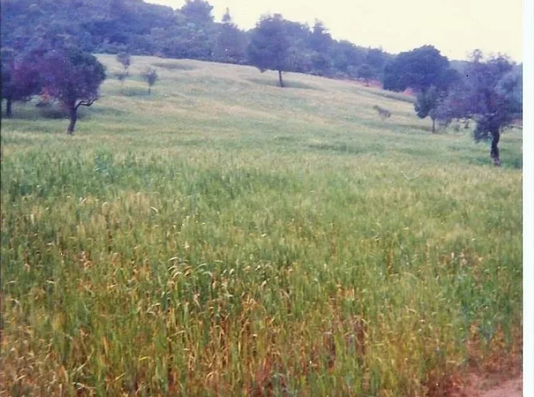 Land 1 room  South Pilio Municipality, Greece