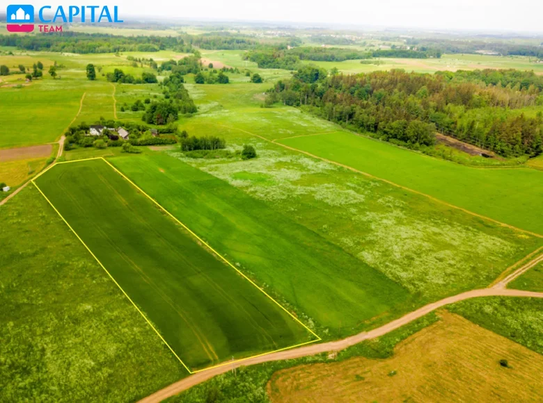 Land  Gudeliu Plytine, Lithuania