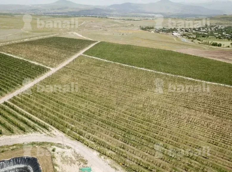 Propiedad comercial 36 000 m² en Mrgashen, Armenia