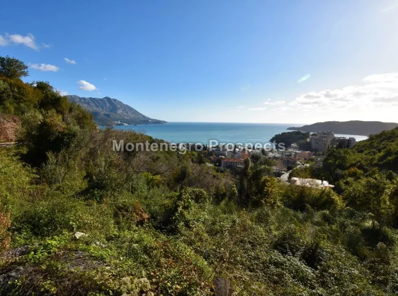 Land 1 215 m² Montenegro, Montenegro
