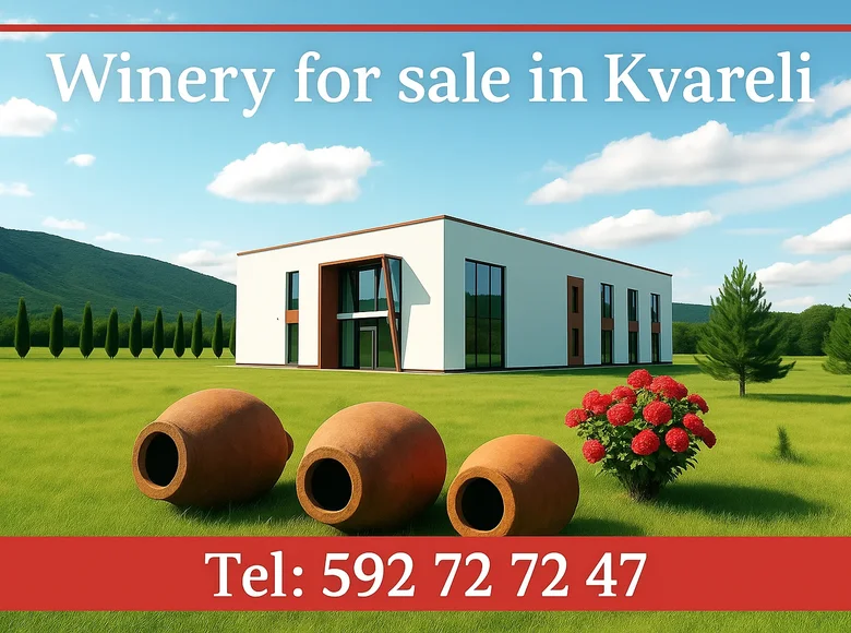  Fully equipped, brand-new wine factory with a full production cycle, located in Kvareli 