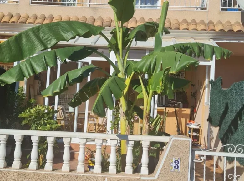 3 bedroom house  Torrevieja, Spain