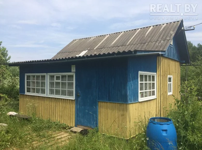 Haus 29 m² Rajon Waloschyn, Weißrussland