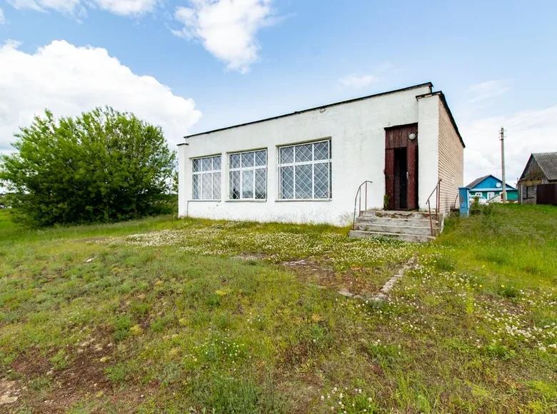 Магазин 100 м² Шашковский сельский Совет, Беларусь