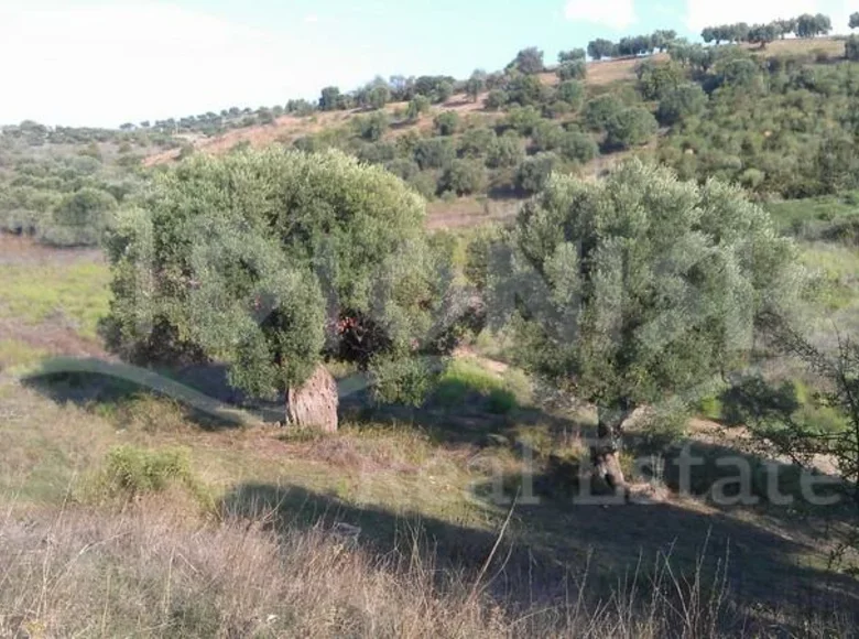 Parcelas 6 662 m² Nikiti, Grecia