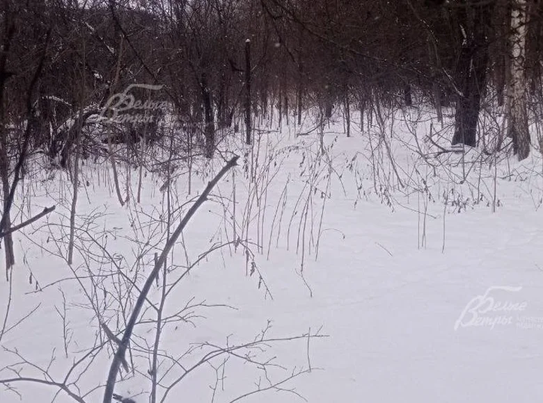 Grundstück  Zimyonki Zimenki Zimenka, Russland