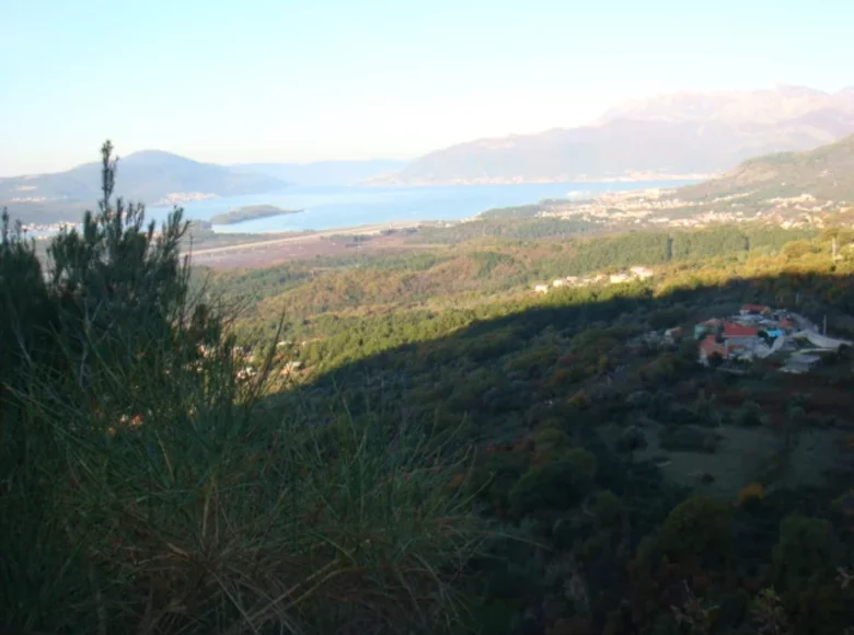 Grundstück 8 000 m² Montenegro, Montenegro