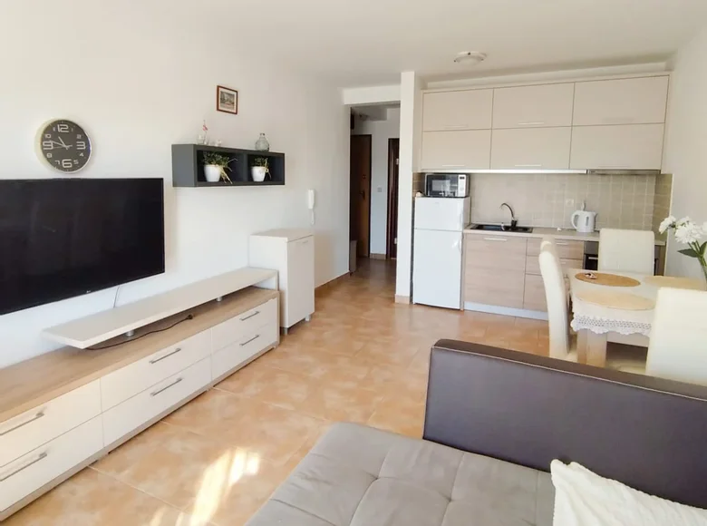 1 bedroom apartment 46 m² Montenegro, Montenegro