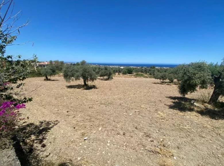 Land  Kazafani, Cyprus