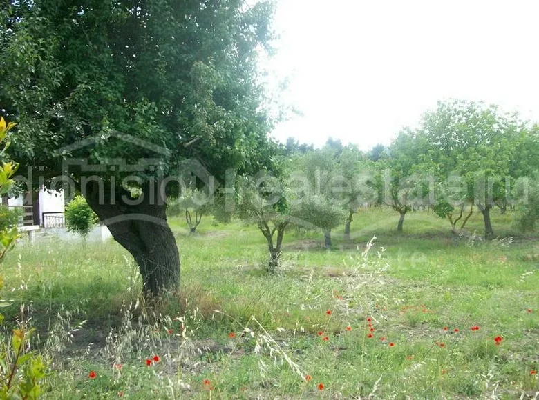 Land 5 500 m² Pefkochori, Greece