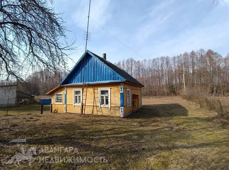 Haus 52 m² Slabada, Weißrussland