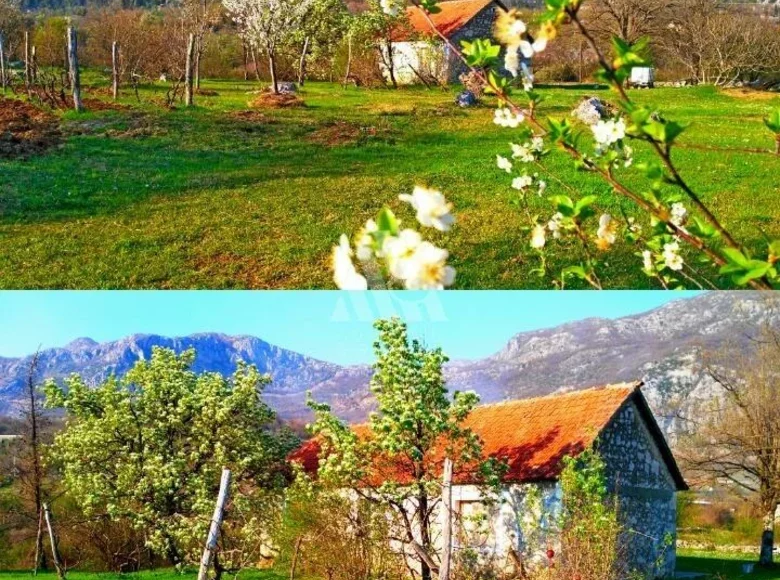 Land 53 000 m² Podgorica, Montenegro