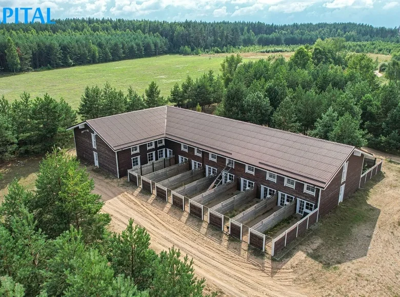 Nieruchomości komercyjne 878 m² Zaiłgi, Litwa