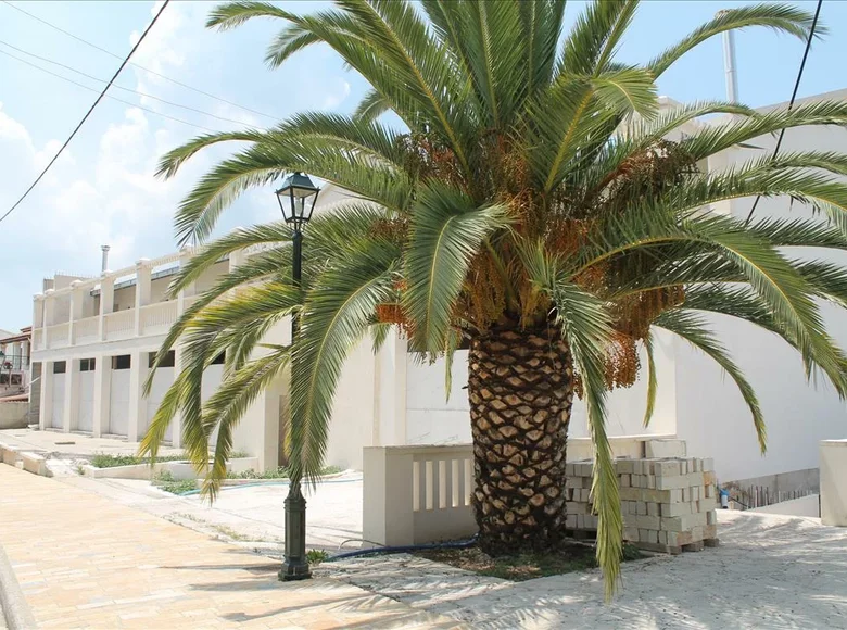 Propiedad comercial 1 545 m² en Agios Pantaleimonas, Grecia