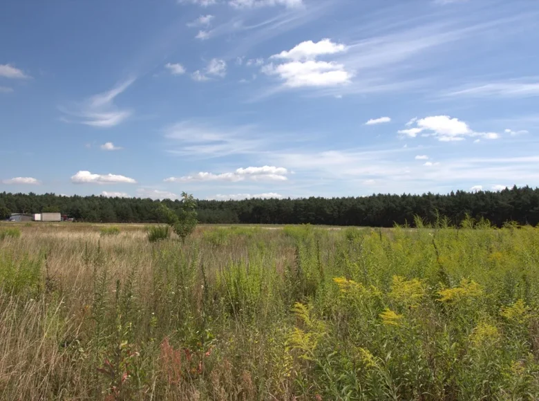 Działki 18 896 m² Swierzowa Polska, Polska