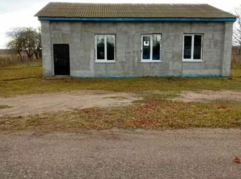 Haus 97 m² Izski sielski Saviet, Weißrussland