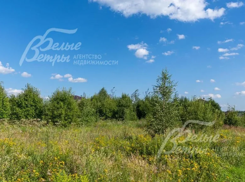 Land  poselenie Novofedorovskoe, Russia