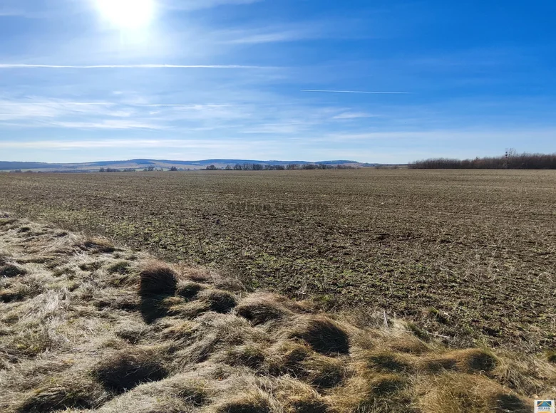 Działki 20 000 m² Tes, Węgry