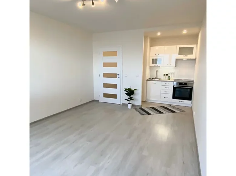 Mieszkanie 2 pokoi 27 m² Praga, Czechy