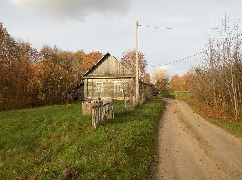 Dom 1 pokój 65 m² Naracki siel ski Saviet, Białoruś