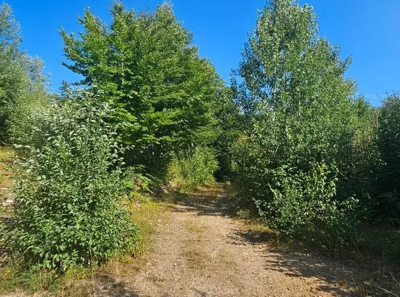 Land  Kolasin, Montenegro