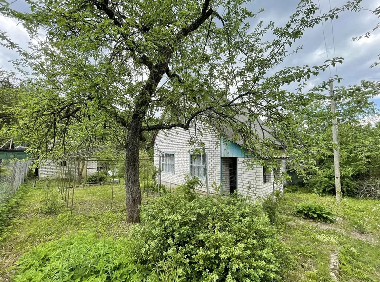 Haus 42 m² Zdanovicki sielski Saviet, Weißrussland