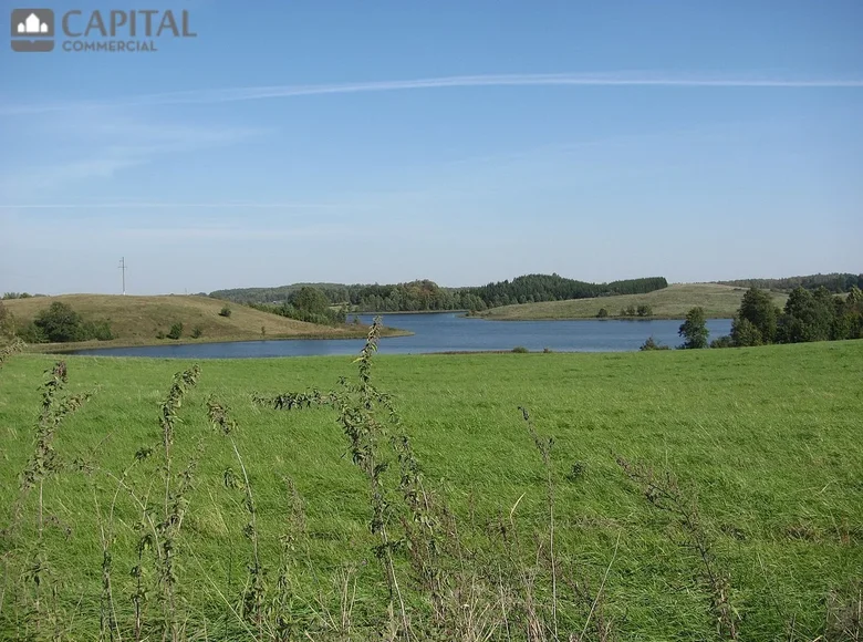 Land  Riesutine I, Lithuania
