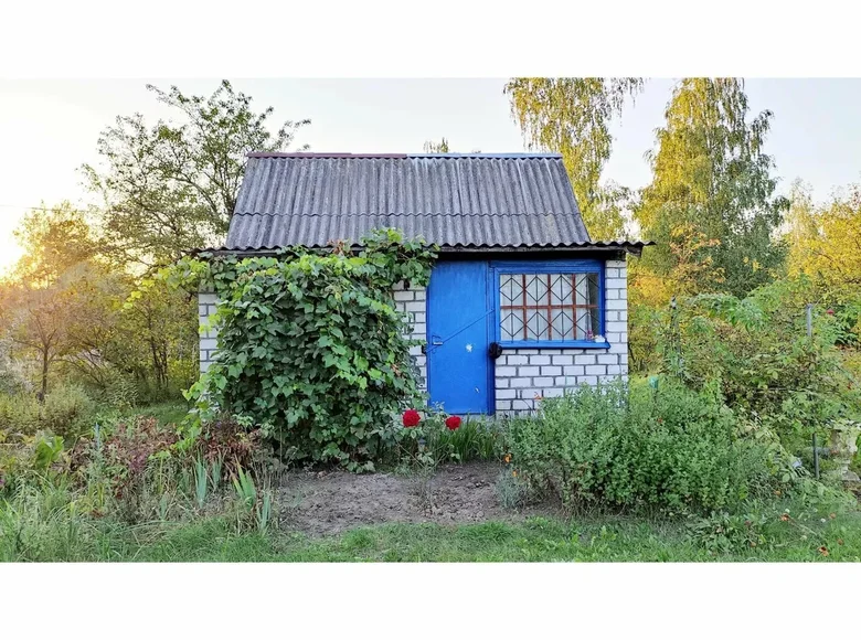 House 22 m² Navasiolkauski sielski Saviet, Belarus