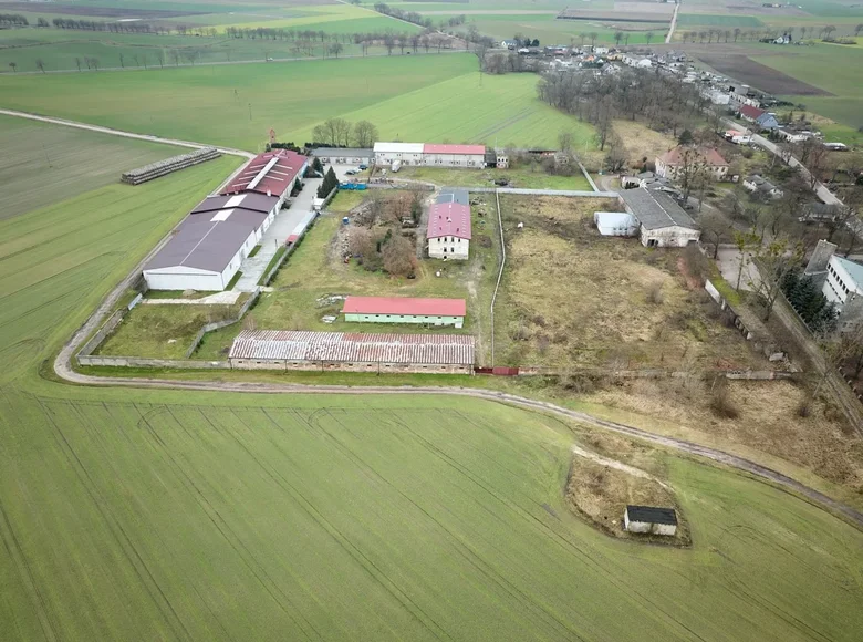 Atterrir 12 437 m² Sedzinko, Pologne