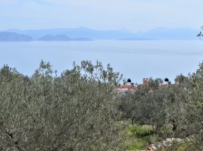 Commercial property 4 000 m² in Peloponnese Region, Greece