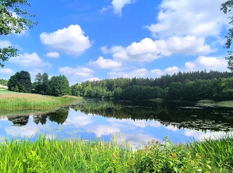 Mieszkanie 4 pokoi 81 m² Litvienski siel ski Saviet, Białoruś