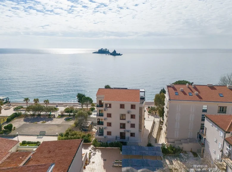 1 bedroom apartment 49 m² Petrovac na Moru, Montenegro
