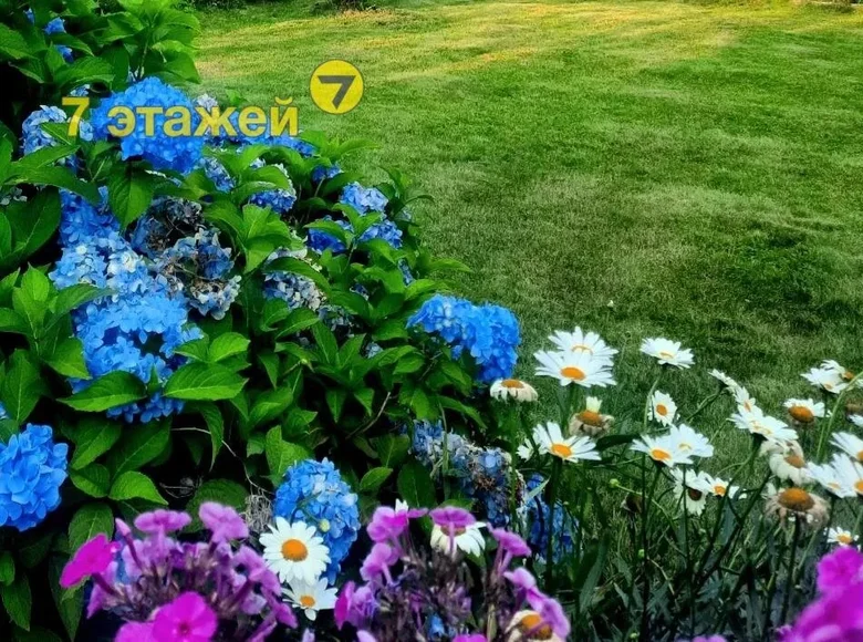 Działki  Drackauski sielski Saviet, Białoruś
