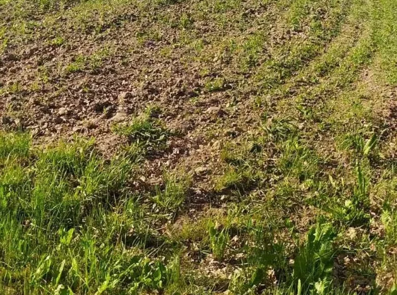 Grundstück  Kaliadzicy, Belarus