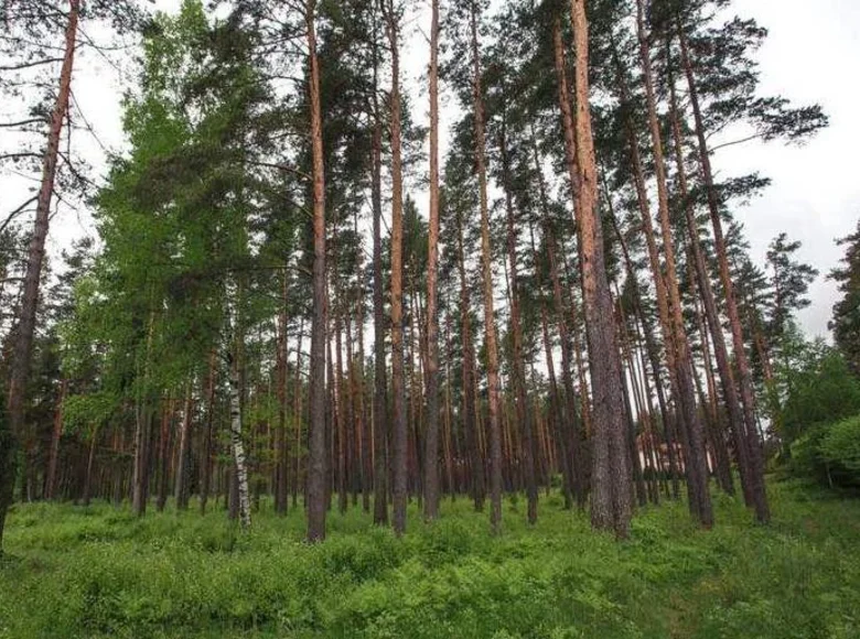 Land 5 000 m² Navapolatsk, Belarus