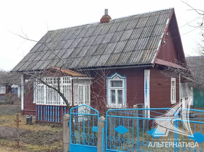 Haus 60 m² Pruschany, Weißrussland