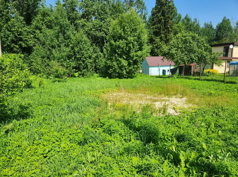 Land  Volosovo, Russia