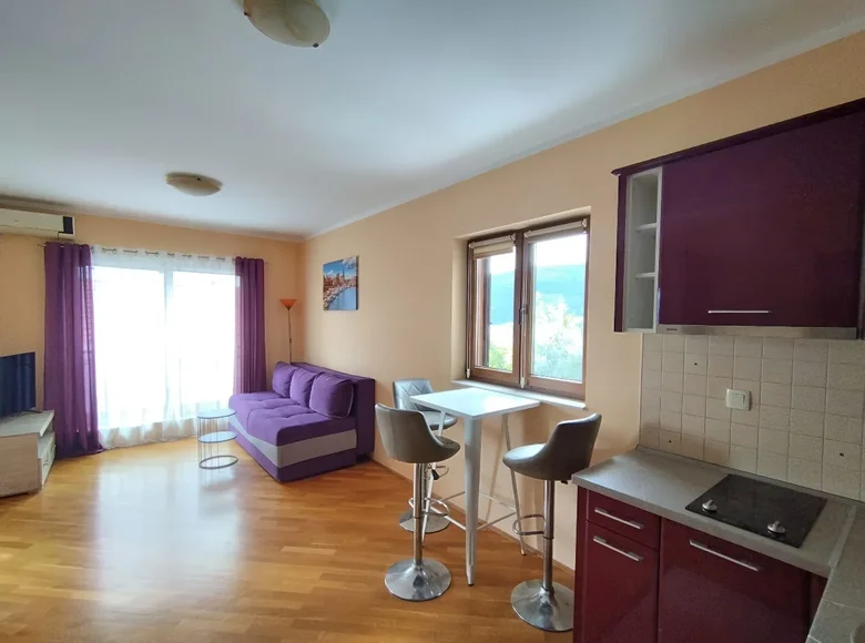 Wohnung 1 Schlafzimmer 45 m² Montenegro, Montenegro