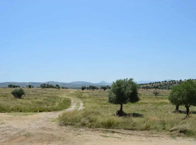 Land 1 room  Spata, Greece