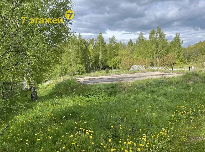 Grundstück  Alahnovicy, Belarus